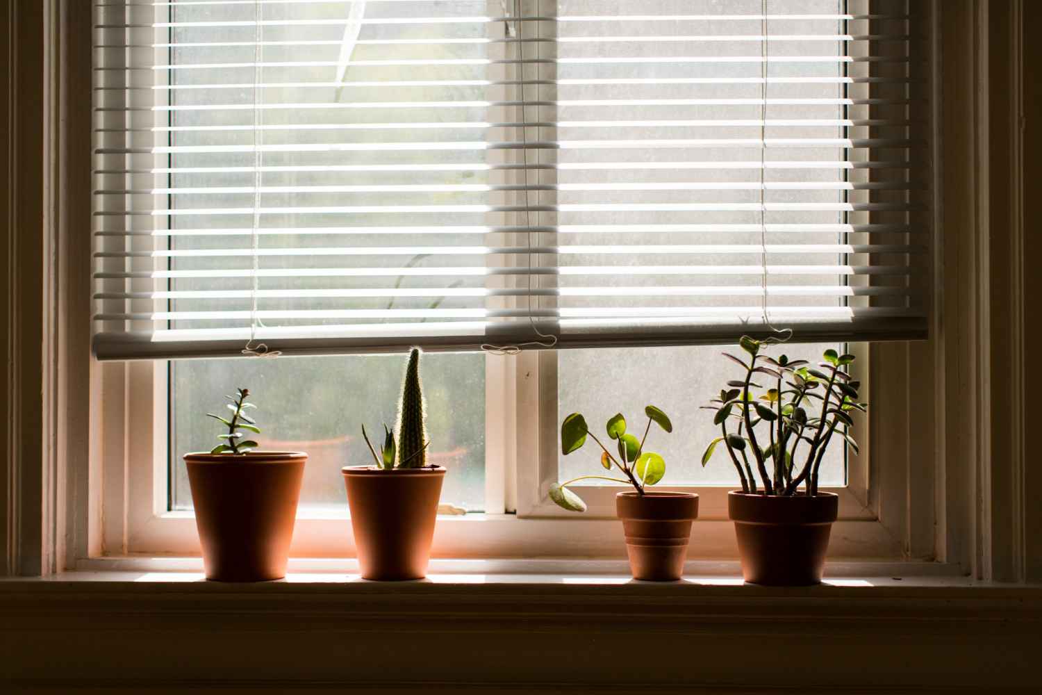 Blinds for Windows